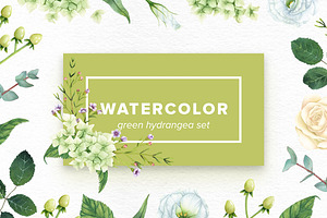 Watercolor Green Hydrangea Set