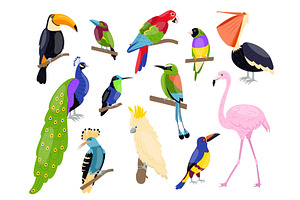 Tropical Exotic Birds. Bright Color