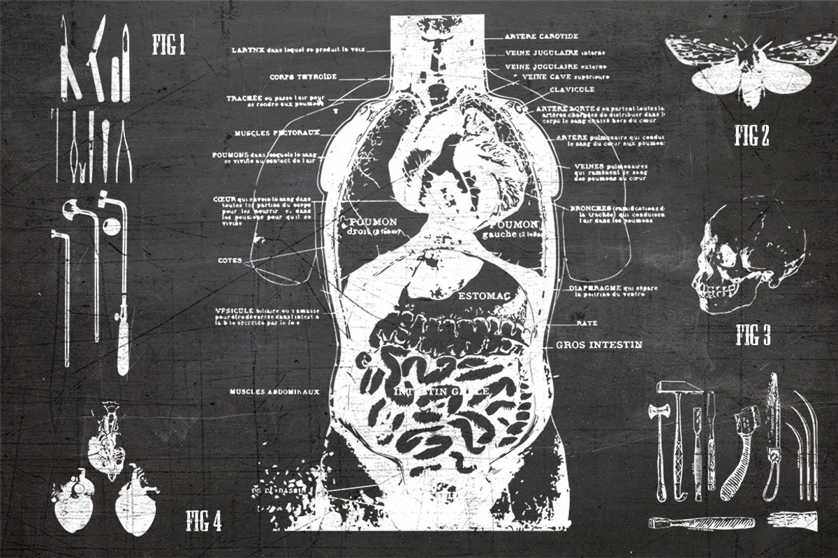 Vintage Medical Vectors, an Object Graphic by the little wonder shop (Photo 2 of 3)