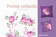 Protea collection, an Illustration by oKOLOstyle (Thumbnail 2 of 6)