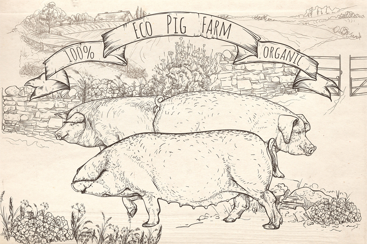 Eco pig farm, an Object Graphic by ArtOwl (Photo 2 of 7)