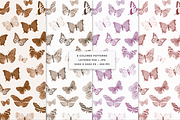 Vintage Butterflies Illustrations, an Animal Illustration by MargauxQuercy (Thumbnail 6 of 7)