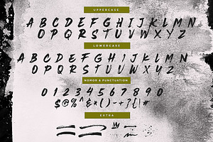 Rustix Brush Font