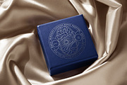Luxury Bohemian Logo Template Set, a Branding & Logo Template by Studio_Byrsa (Thumbnail 2 of 12)