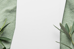 Blank cards resting on green fabric with olive branches for eleg, a Background Photo by Olena Rudo
