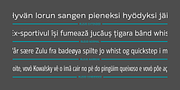 Rleud, a Sans Serif Font by Stawix (Thumbnail 4 of 12)