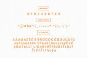 Anzil Sans Serif Font Family, a Sans Serif Font by Creativetacos (Thumbnail 4 of 6)
