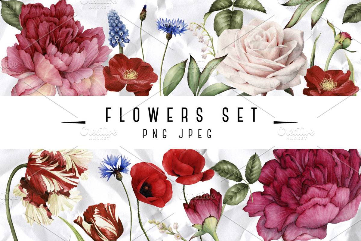 Set of isolated flowers and leaves, a Decorative Illustration by ollalya (Photo 1 of 2)