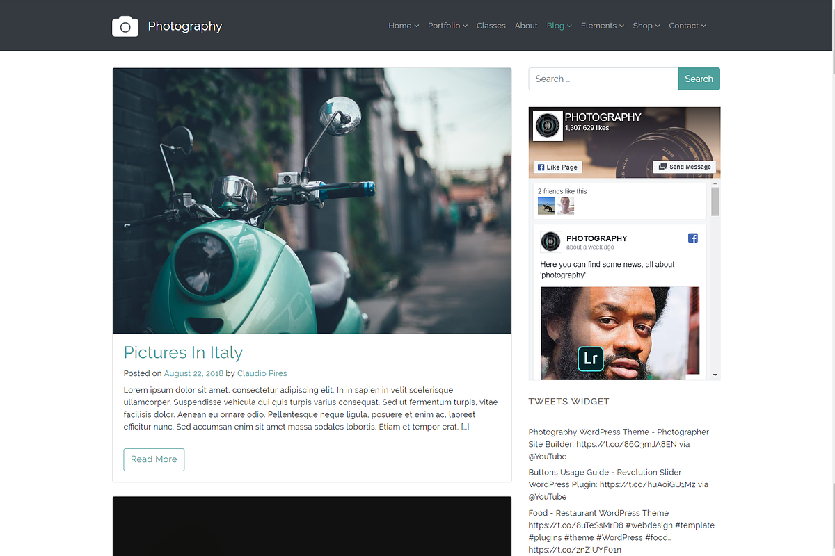 Photography Gallery WordPress Theme, a WordPress Template by Visualmodo (Photo 18 of 21)