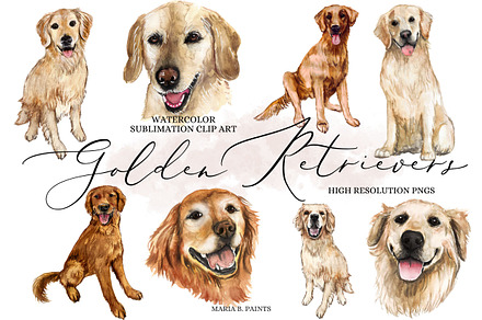 Golden Retriever Clipart Dog Set, an Animal Illustration by Maria B. Paints