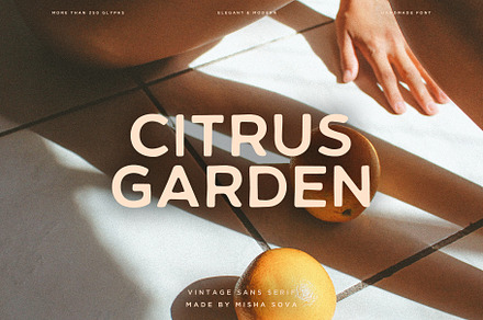 CITRUS GARDEN - vintage sans serif