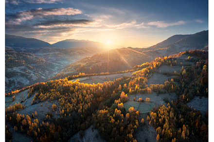 Aerial view of orange trees on the, a Nature Photo by den-belitsky