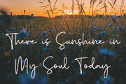Austry Royal Font, a Script Font by Cherryline Master (Thumbnail 10 of 11)