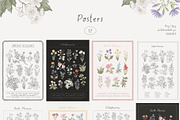 Wildflowers. Hand drawn pencil flora, a Decorative Illustration by Kreker Kate (Thumbnail 5 of 12)