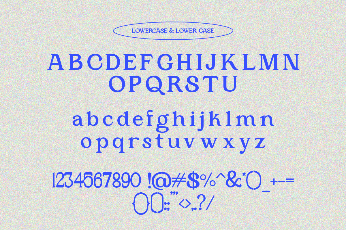 Lumidal - Modern Luxury Serif Font, a Serif Font by Qweera Studio (Photo 12 of 12)