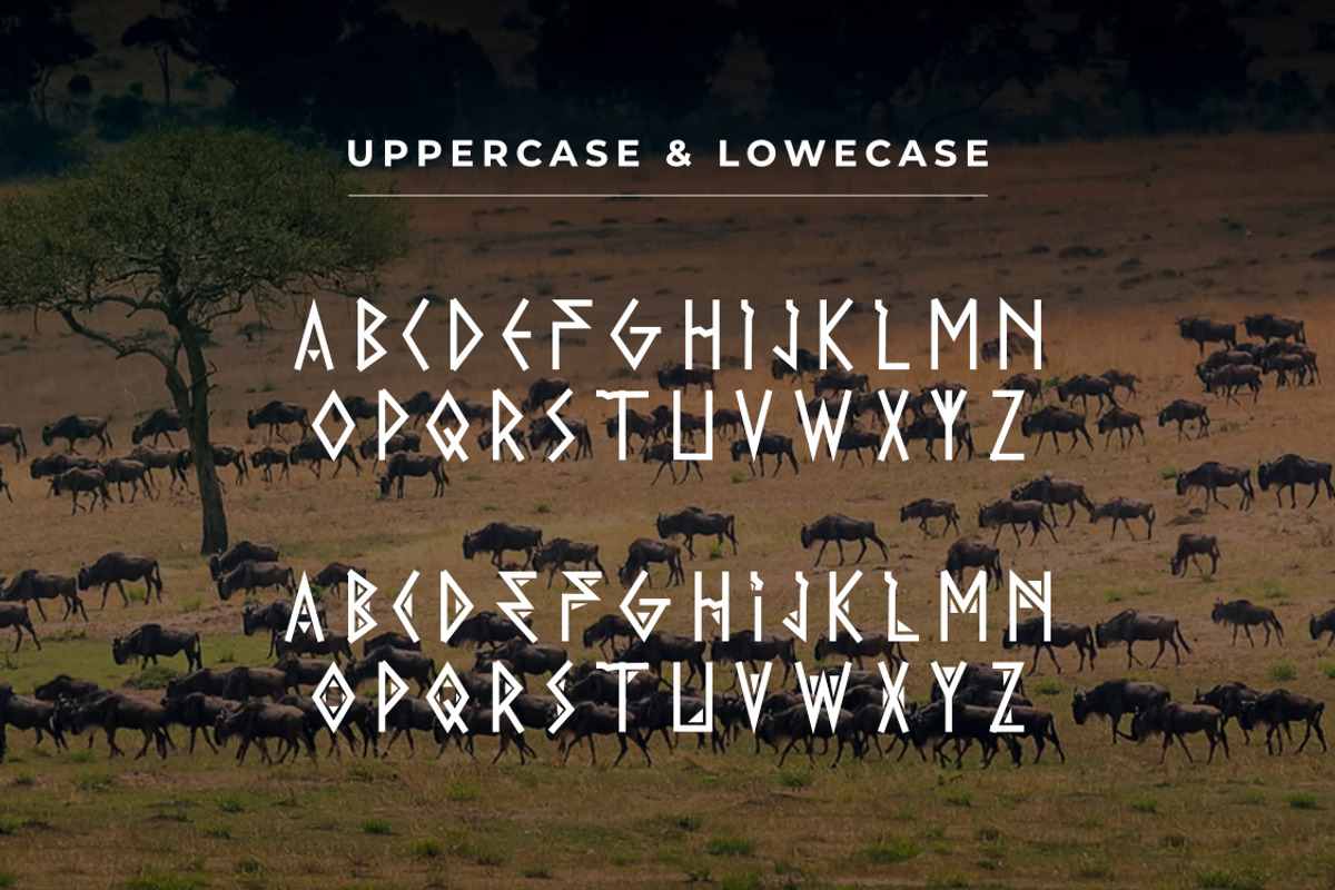 AFRICA VIBES FONT DISPLAY, a Serif Font by Andika Fez (Photo 7 of 8)