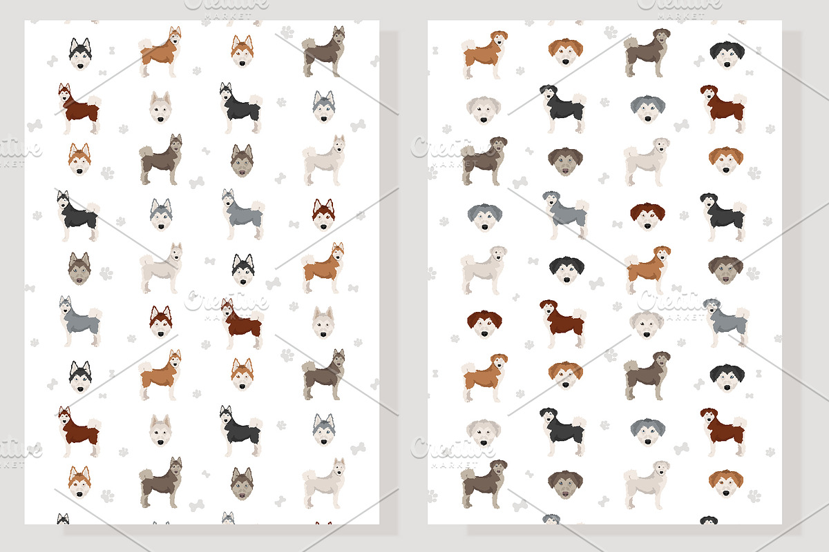 Siberpoo (Siberian Husky Poodle mix), an Animal Illustration by pet design shop (Photo 6 of 6)