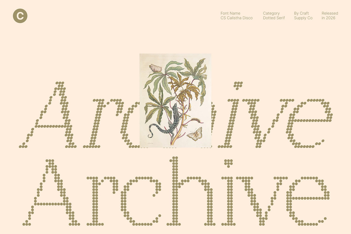 CS Calistha Disco, a Serif Font by Craft Supply Co. (Photo 6 of 8)