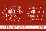 Arneta, a Serif Font by zaaintype (Thumbnail 9 of 11)