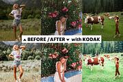 70 Lightroom Presets Artist Bundle, an Action Add-On by Willa (Thumbnail 4 of 23)