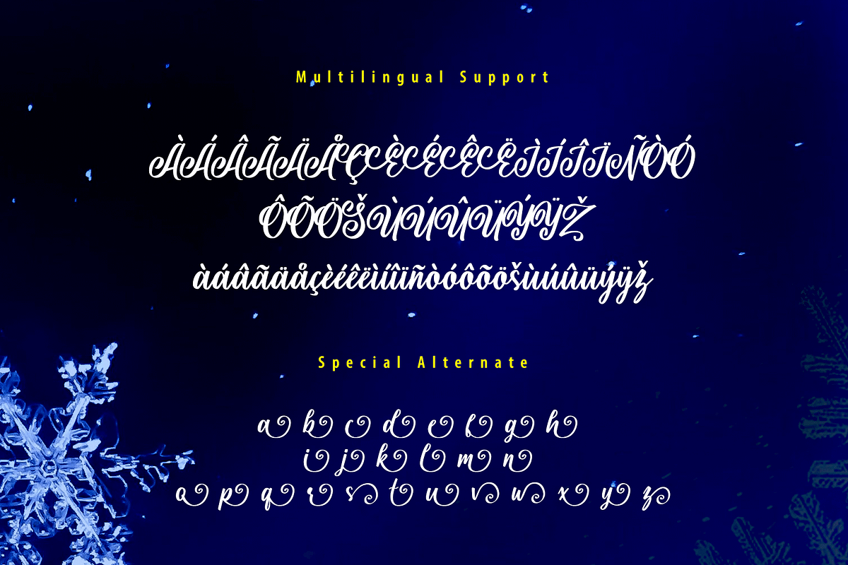 Shielfie - Christmas Celebrate Font, a Script Font by overlaytemplates