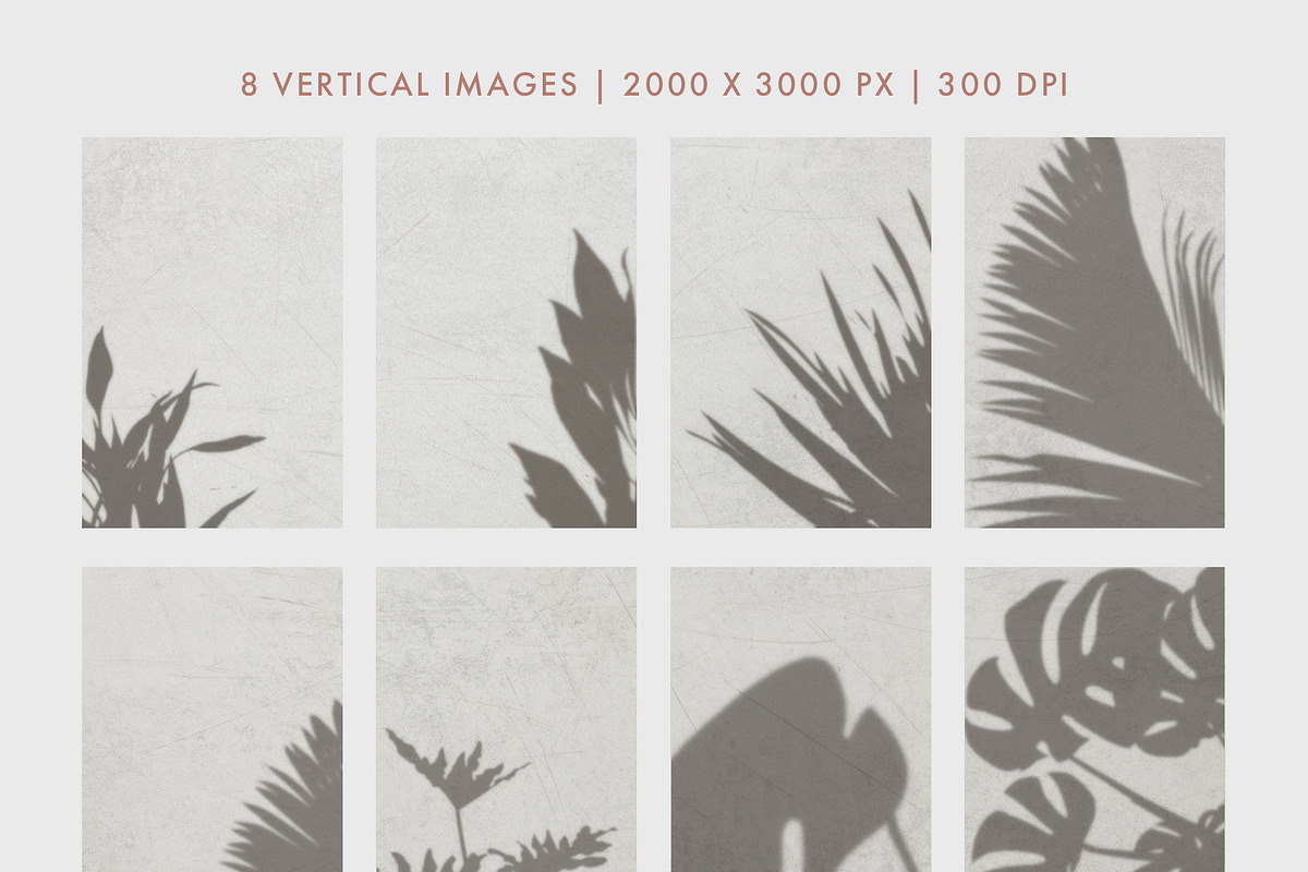 30 Botanical Shadow Overlays, a Mockup by Megs Lang (Photo 8 of 8)