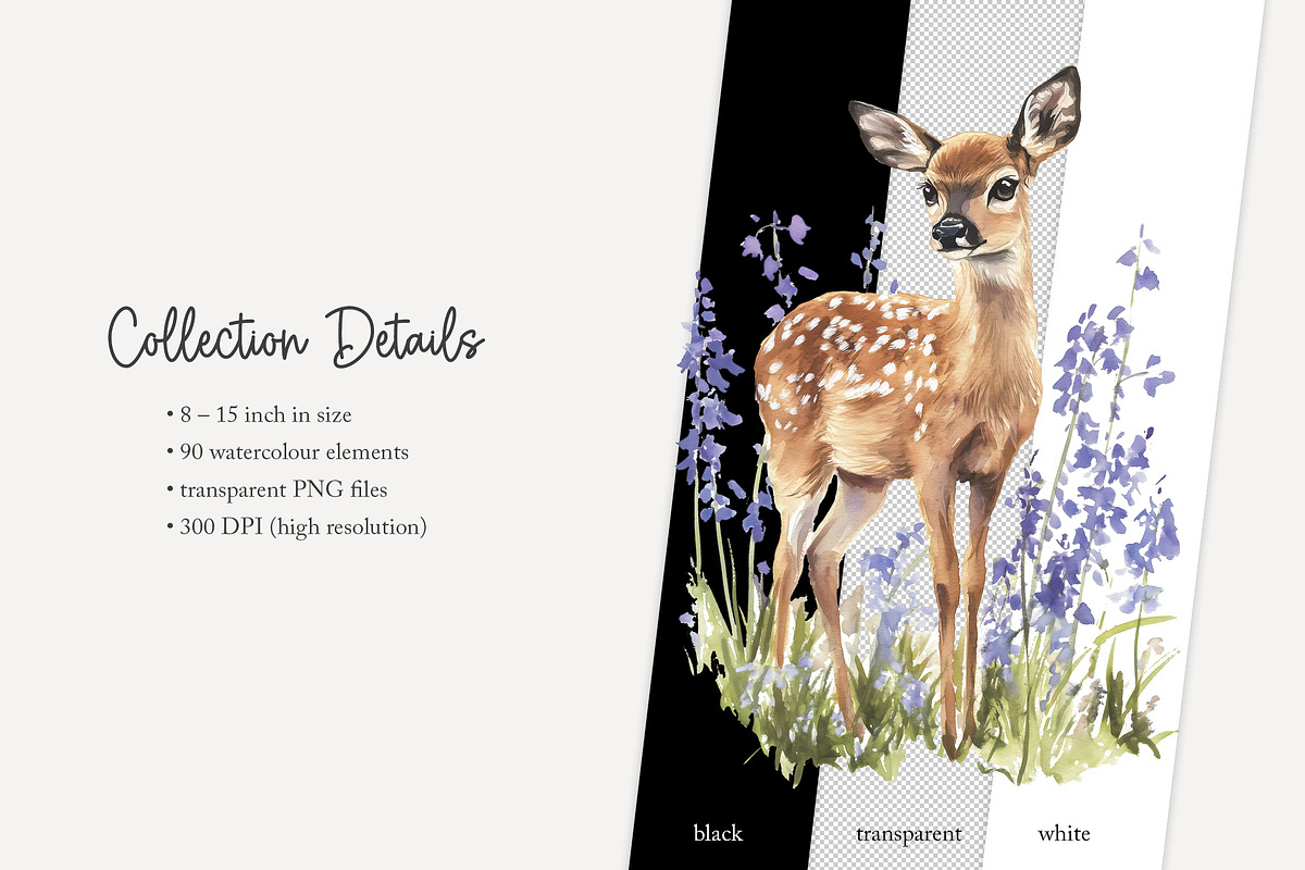100 bluebell woods clip art, a Seasonal Illustration by Poppy Lane Studio (Photo 10 of 10)