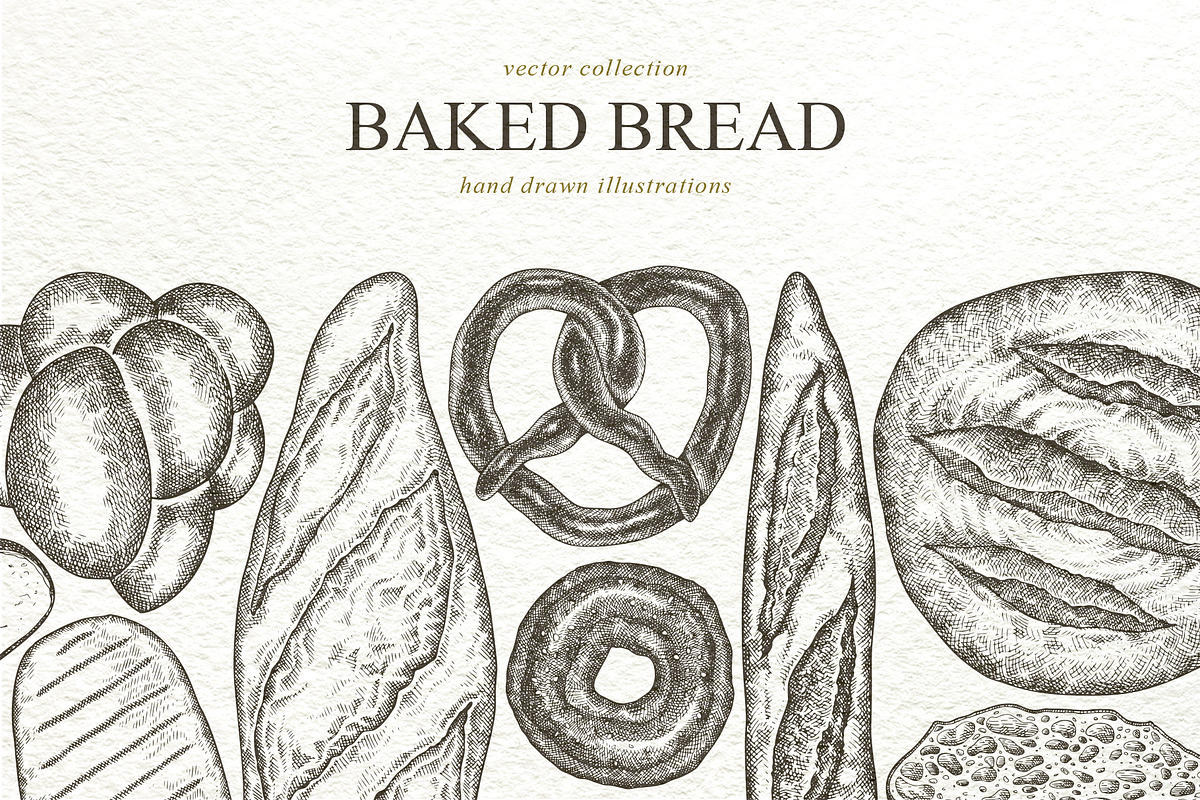 Baked Bread Vector Illustrations, a Food Illustration by Lubov Illustrations Shop (Photo 1 of 7)