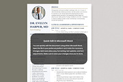Executive Resume Template, a Resume Template by Anjum Ilyas (Thumbnail 4 of 7)