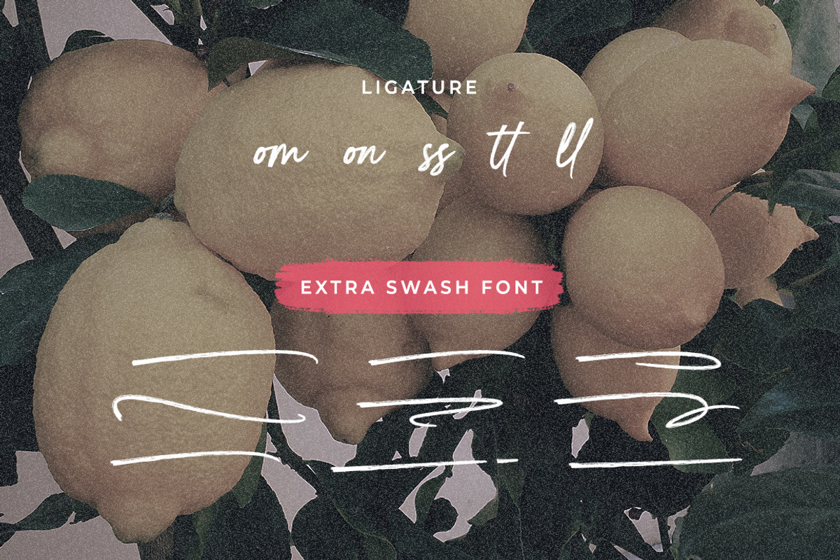 Billion Brush, a Handwritten Font by Gatype (Photo 7 of 8)
