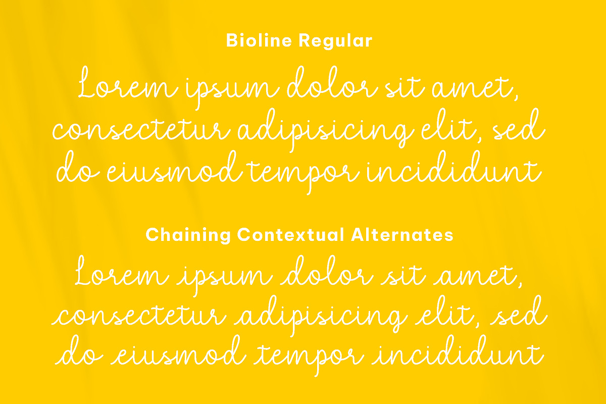 Bioline - Beauty Monoline script, a Script Font by Fontcastle (Photo 2 of 5)