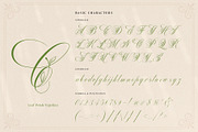 Mollani Nature Script, a Script Font by alit design (Thumbnail 5 of 20)