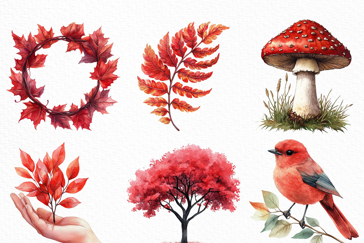 Watercolor Crimson Canopy Clipart, an Illustration by Craft Nest (Photo 5 of 6)