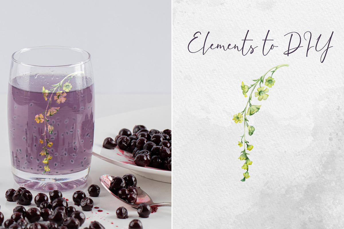 Currant blossom, a Decorative Illustration by MsFlaffy (Photo 9 of 9)