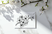 Sakura Flowers Line Art SVG, an Object Graphic by Dervik Art Store (Thumbnail 6 of 9)