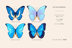 Morpho Patterns