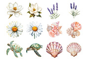 Floral Beach Clipart, an Illustration by Design Market (Thumbnail 3 of 3)