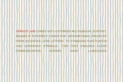 Apricot Jam | Handwritten Sans Serif, a Sans Serif Font by AnMark (Thumbnail 13 of 15)
