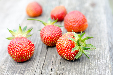 Red Pomegranate preview 3