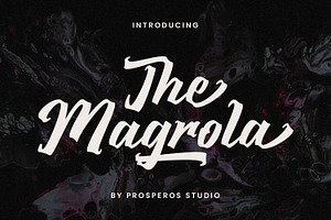 The Magrola - Vintage Script Font, a Handwritten Font by prps.std