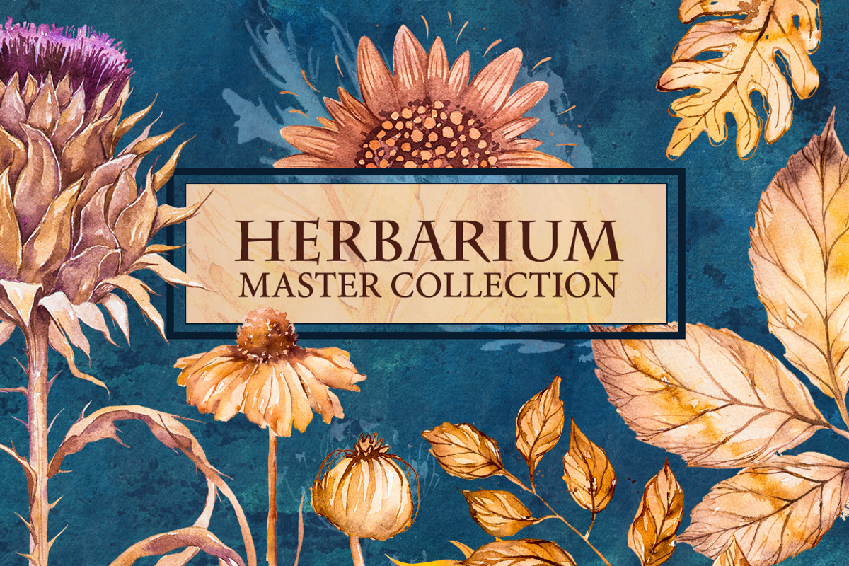 Herbarium Master Collection, a Decorative Illustration by AlexGreenArt (Photo 1 of 12)