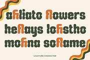 Bolderoo, a Sans Serif Font by Brand_Hero (Thumbnail 4 of 13)