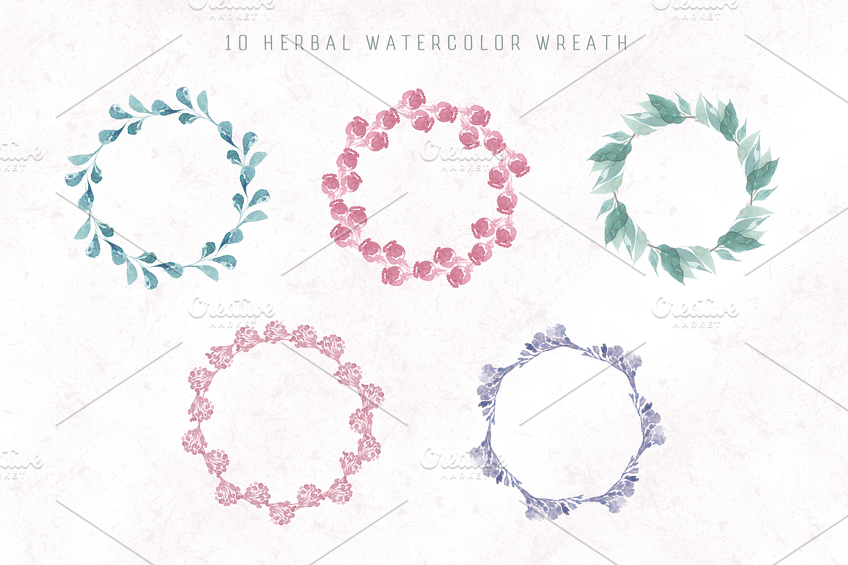 Watercolor plants & herbal elements., a Decorative Illustration by Re_Margarita_Art (Photo 6 of 12)