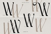Aveline, Soft Serif with Ligatures, a Serif Font by CarmineType (Thumbnail 19 of 28)