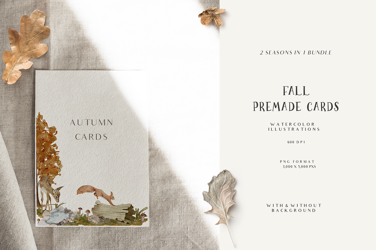 Fall & Winter Woodland Animals set, an Animal Illustration by Grace Noboa Illustrations (Photo 6 of 17)