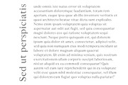 Sandover Serif Font Family, a Serif Font by Creativetacos (Thumbnail 7 of 7)