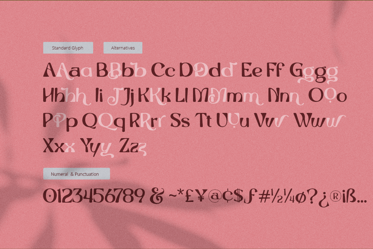 Saltstar Font, a Sans Serif Font by Grontype (Photo 8 of 12)