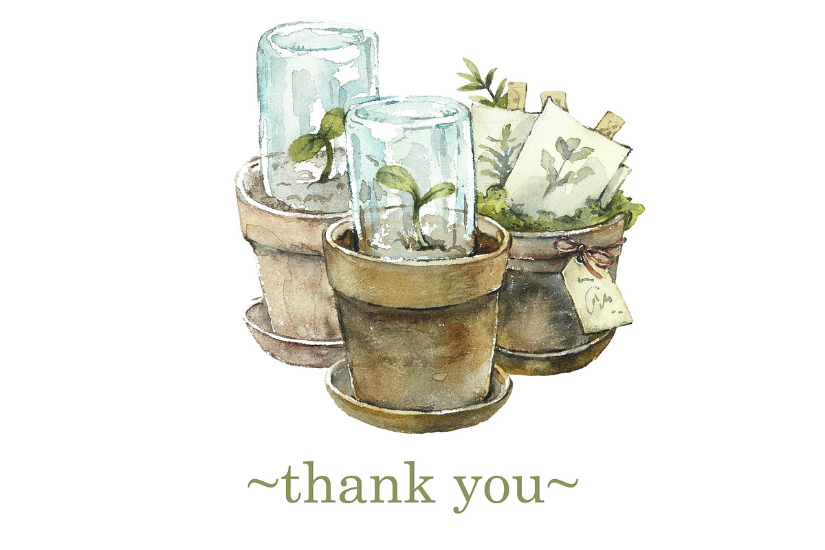 Vintage Garden Collection, an Illustration by Budogoshch (Photo 9 of 9)
