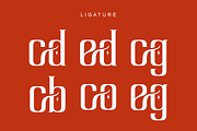 Segstafco Genstanko, a Serif Font by QR Design Studio (Thumbnail 13 of 14)