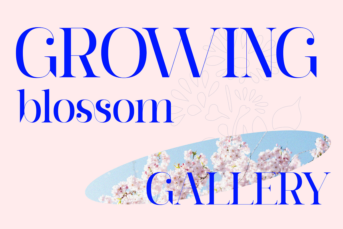 Barfiola Typeface, a Serif Font by MJtypefoundry (Photo 12 of 14)
